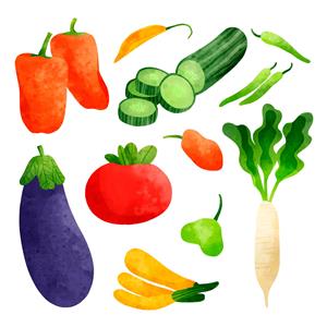 矢量食品果蔬-手绘蔬菜矢量设计素材